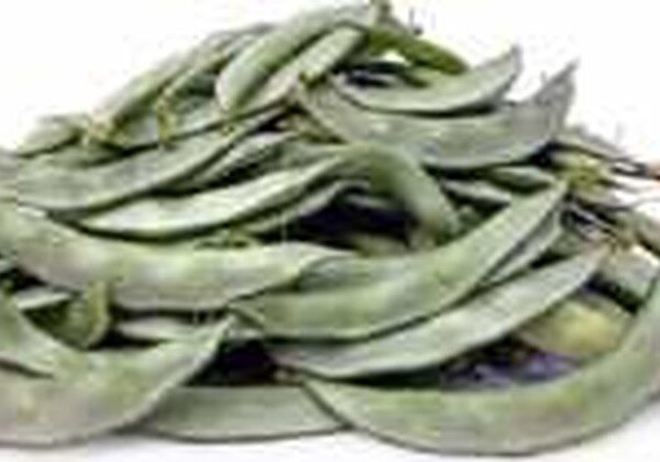 BANGLADESH SEEM LUNGO(COUNTRY BEANS)