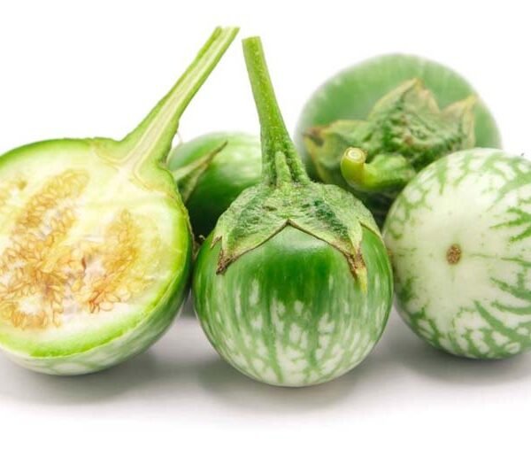 MELANZANE VERDE ROTONDE