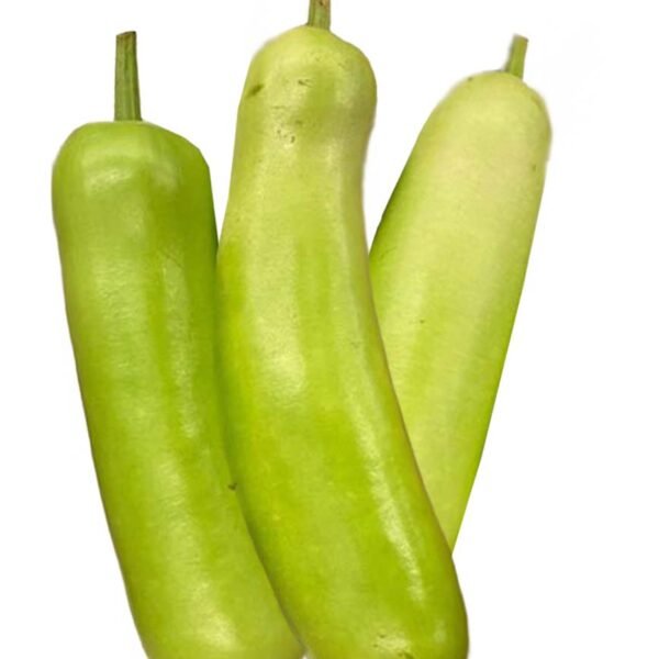 DUDHI
