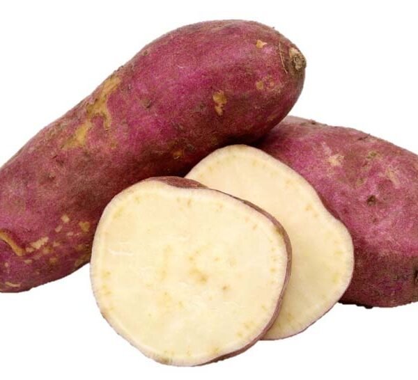 PATATE DOLCE WHITE