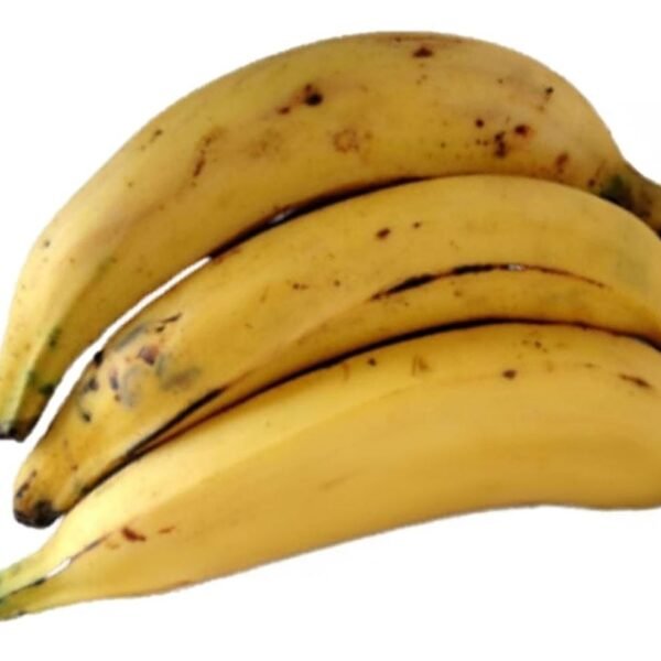 PLATANO MATURO COLOMBIA
