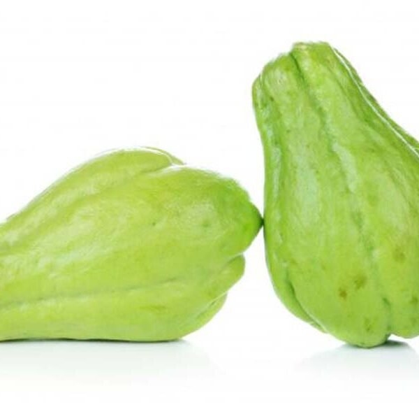 CHAYOTE COSTA RICA