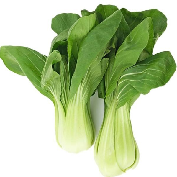 PAK CHOI