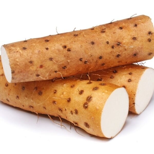 YAM FRANCIA