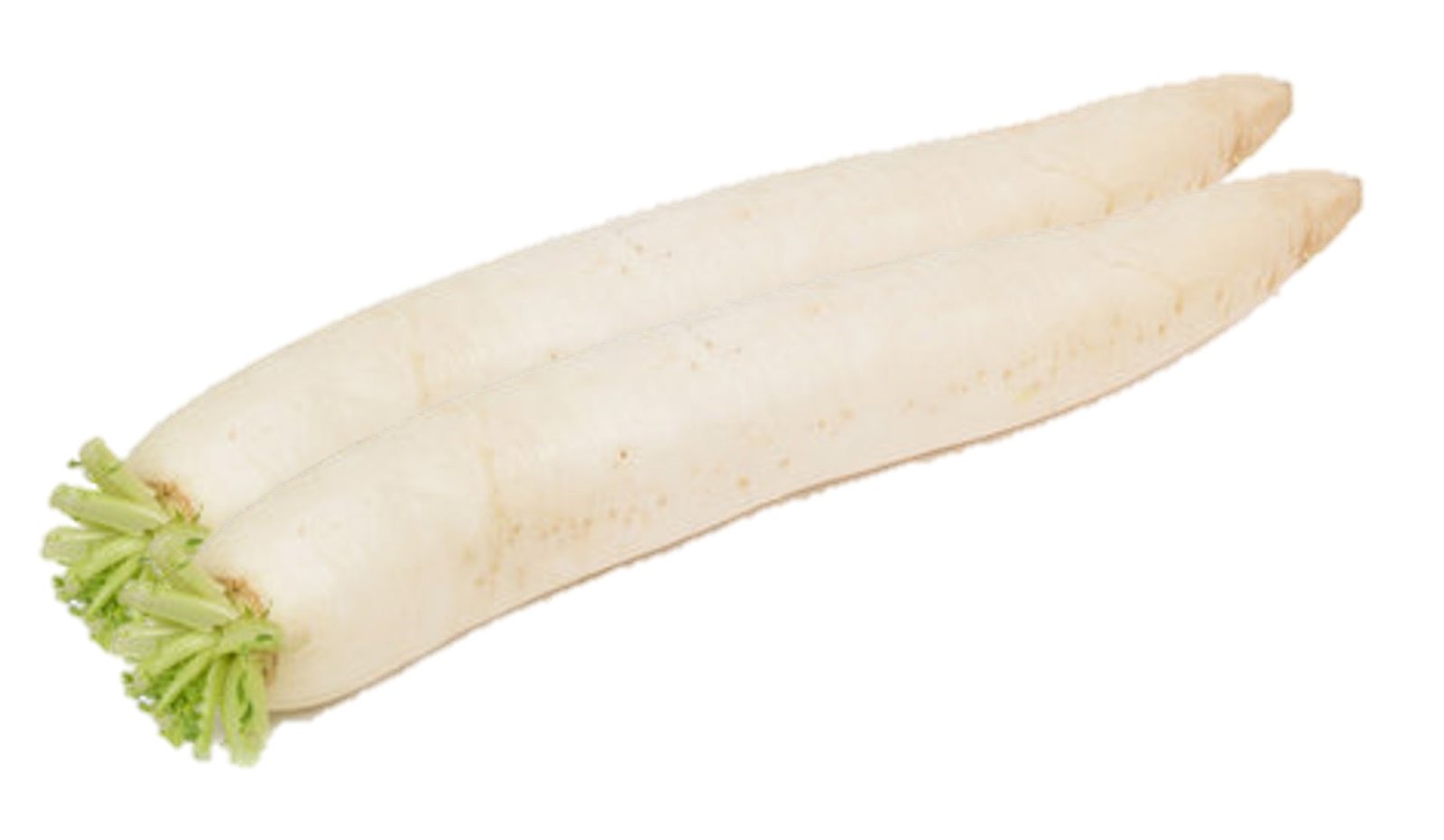 1149.jpg DAIKON EXTRA - Image 1