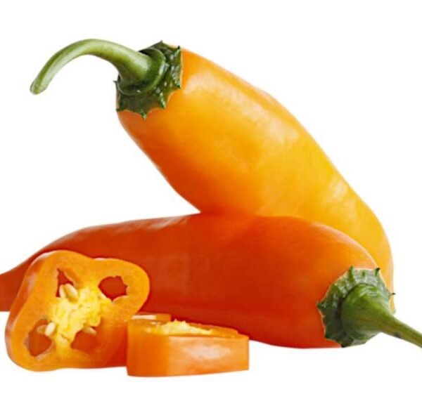 AJI AMARILLO PERU