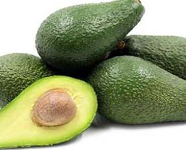 AVOCADO VERDE PINKERTON