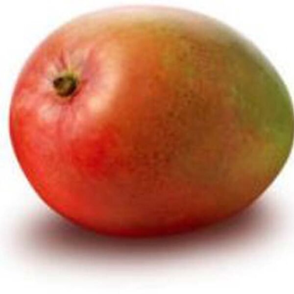 MANGO BRASILE