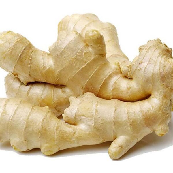 GINGER CINA ALI BABA