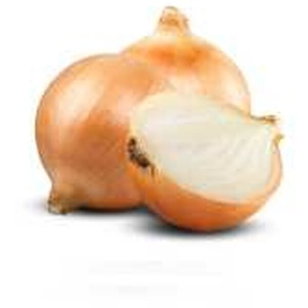 CIPOLLA DORATA