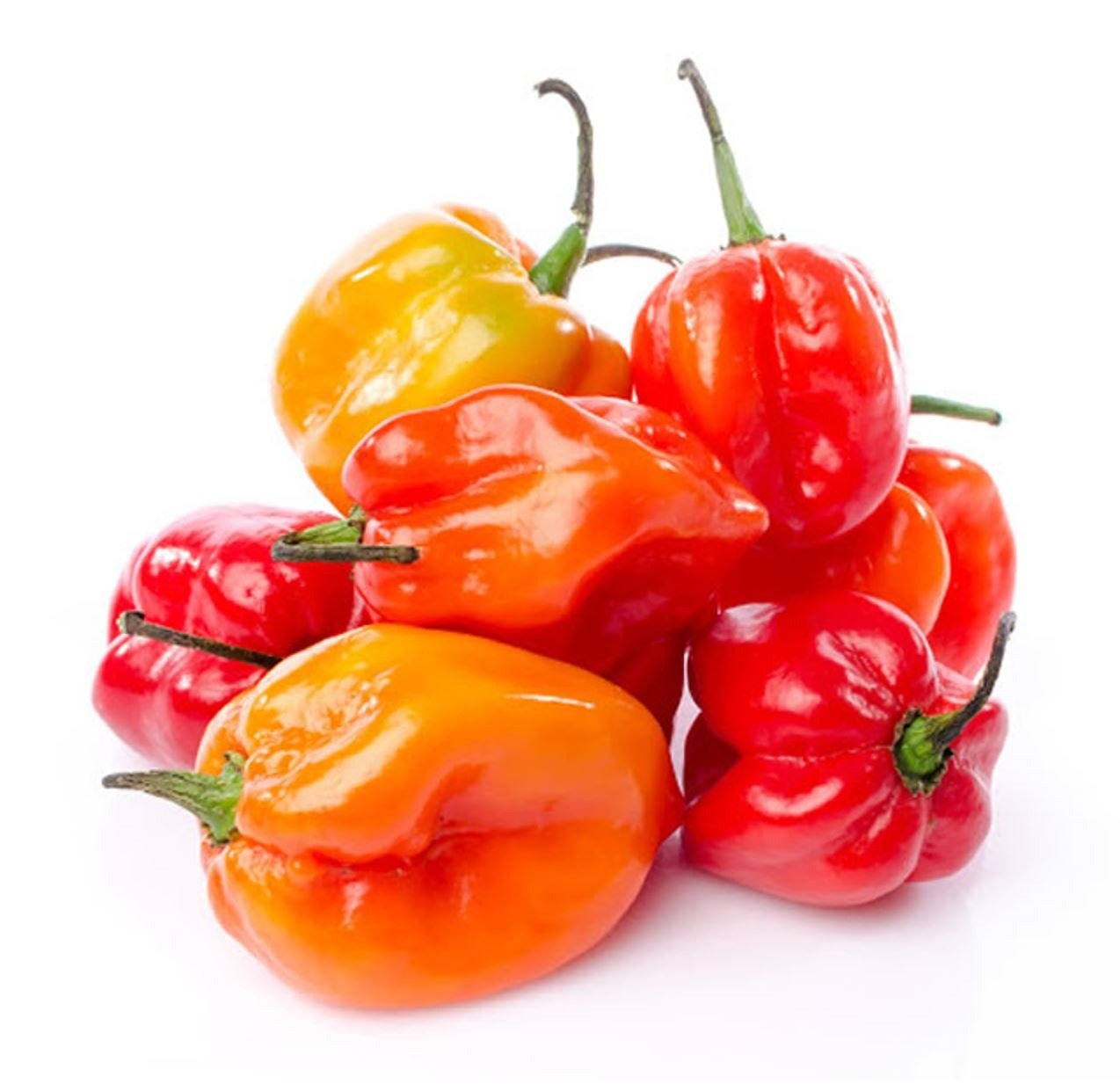 1492.jpg HOT PEPPER - Image 1