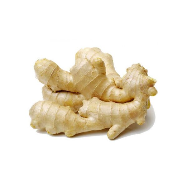 GINGER CINA ALI BABA