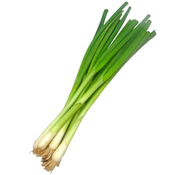 CIPOLLOTTI FINI