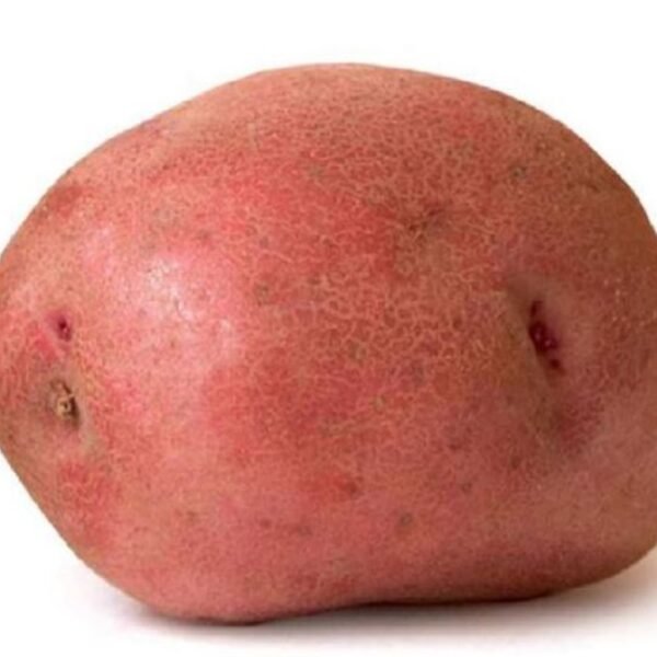 PATATE ROSSE LAVATE