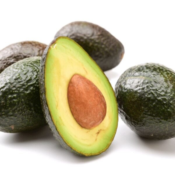 AVOCADO HASS
