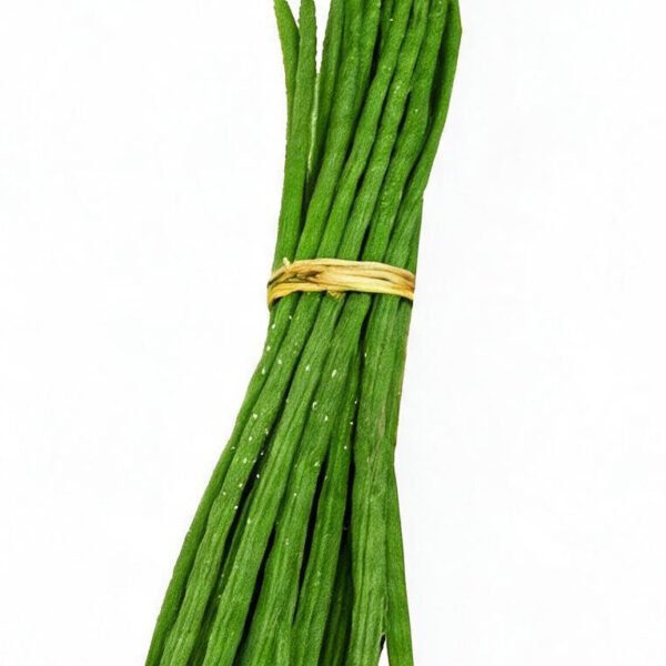 D.STICK NDIA