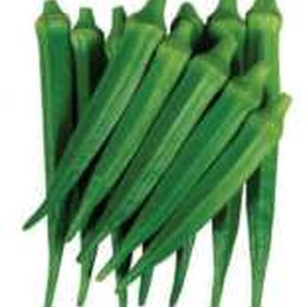 OKRA INDIA