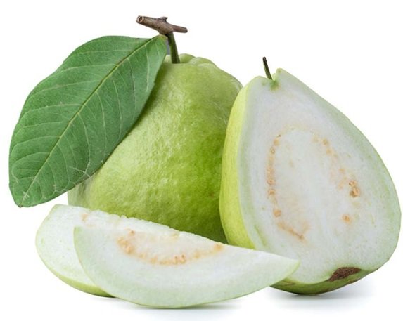 3147.jpg GUAVA - Image 1