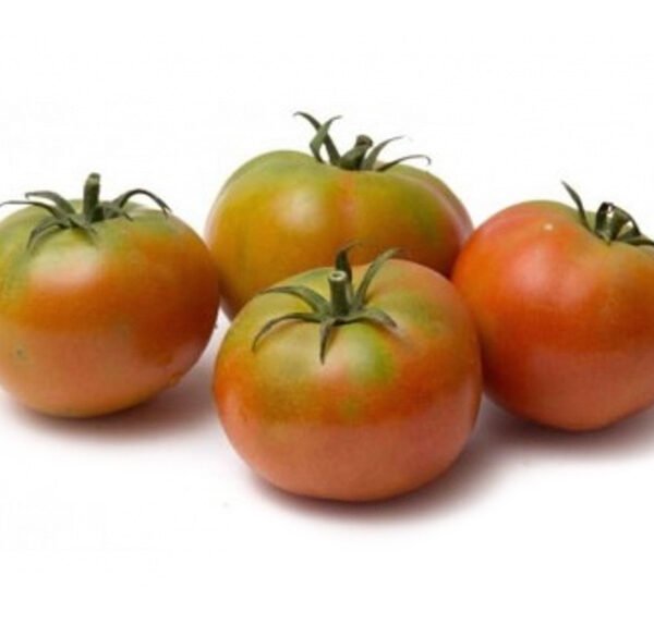 POMODORO