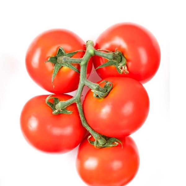 POMODORO