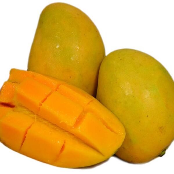 MANGO RIPE