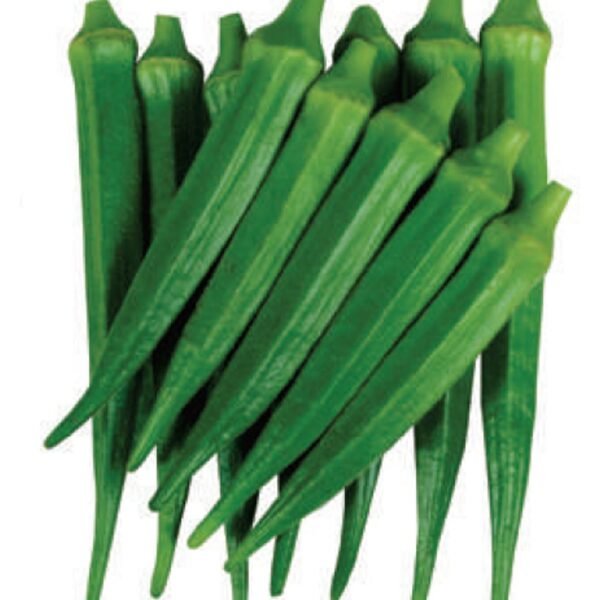 OKRA INDIA HONDURAS