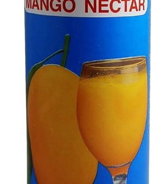 PH GINA MANGO JUICE