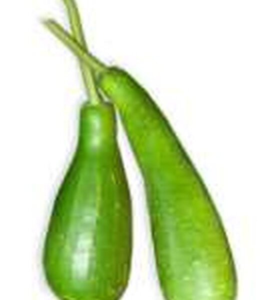 BANGLA VERD DUDHI/LONG SQUASH