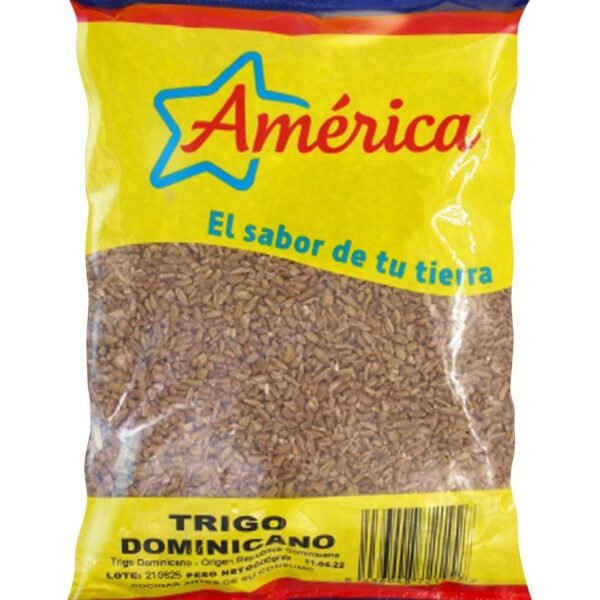 TRIGO DOMINICANO