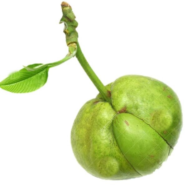 BANGLA VERD CHILTA