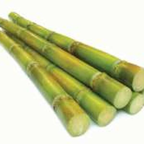 BANGLA VERD AKK(SUGAR CANE)