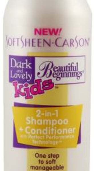 D&L. B/BEG. 2 IN 1 SHAMPOO
