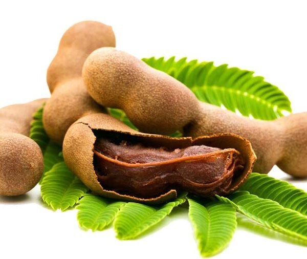 BANGLA VERD TATUL(TAMARIND)