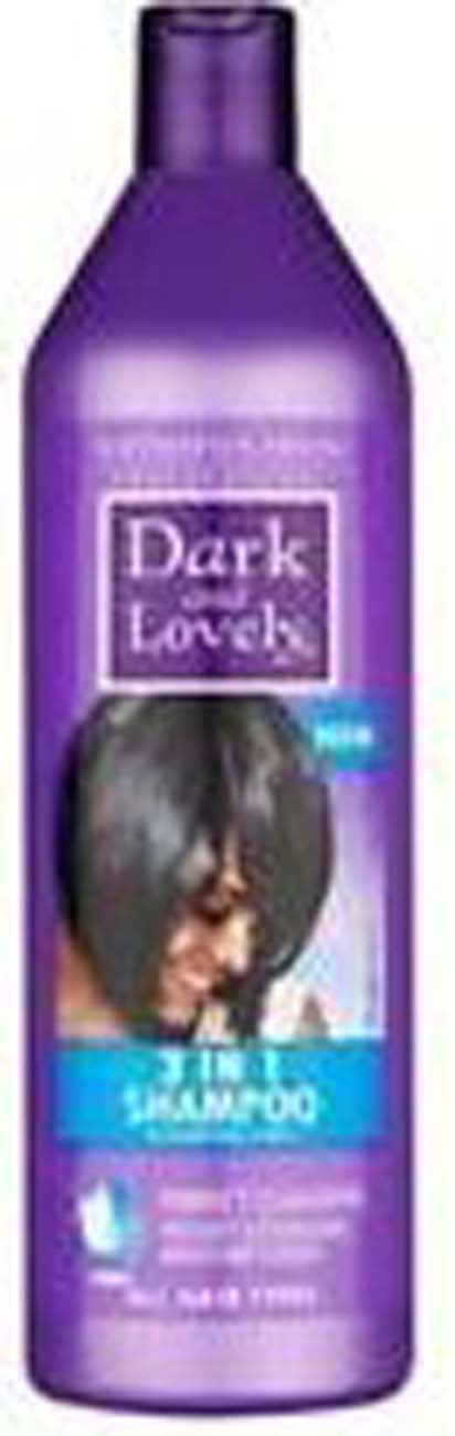603.jpg D&L 3 IN1 SHAMPOO - Image 1