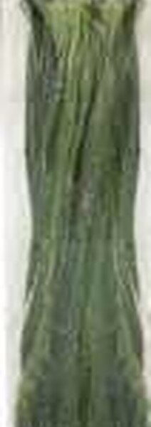 VN GELO PANDAN LEAVES