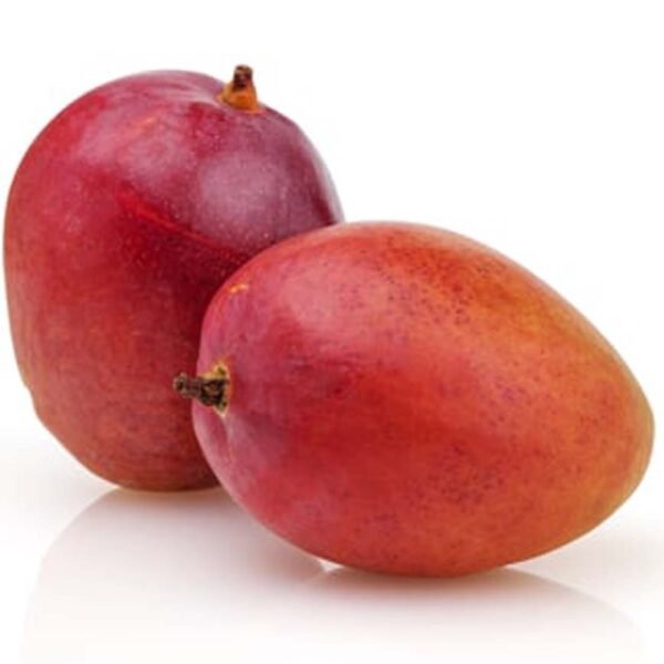 MANGO KEITT SPAGNA *AL KG*