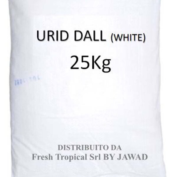 URID DAL L(WHITE)