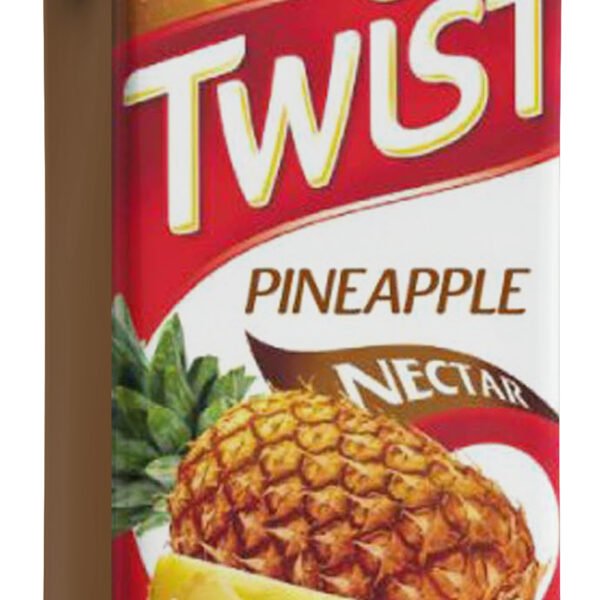 SUCCO TWIST PINEAPPLE