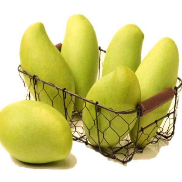 MANGO BANGLADESH (BARI)