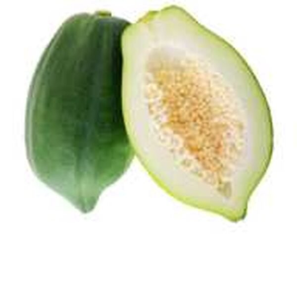 PAPAYA VERDE BANGLA