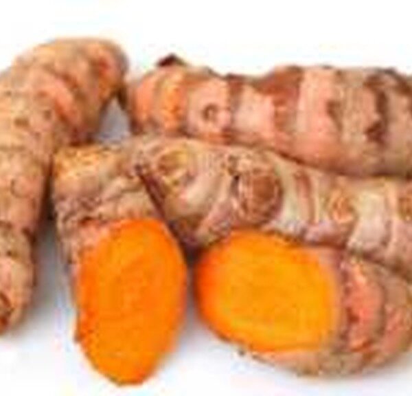 LILI HALDI (CURCUMA) BANGLA VERD