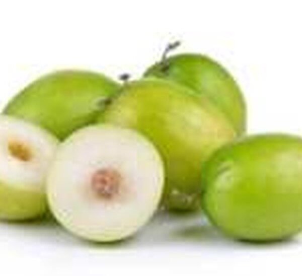 APPLE BORE INDIA