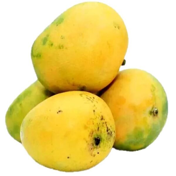 MANGO BANGLADESH (AMRUPALI)