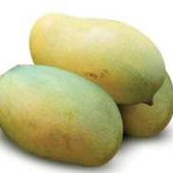 MANGO BANGLADESH (FAZLI)