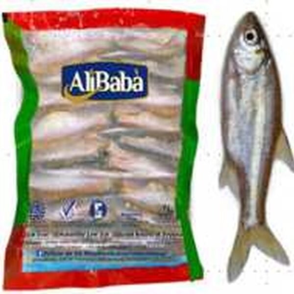 BD BLOCK MOLA CLEAN