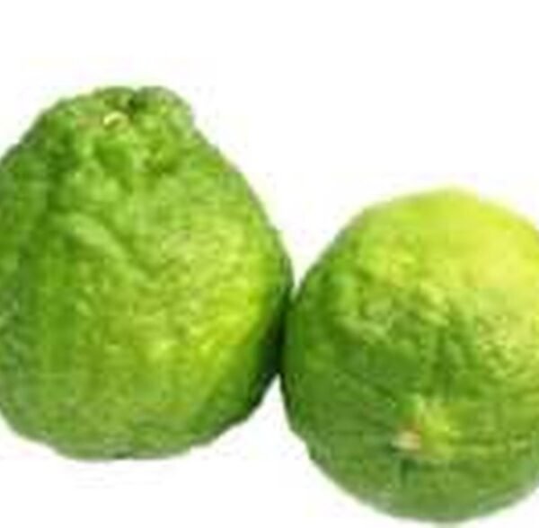 BANGLA VERD JARA LEBU(LEMON)