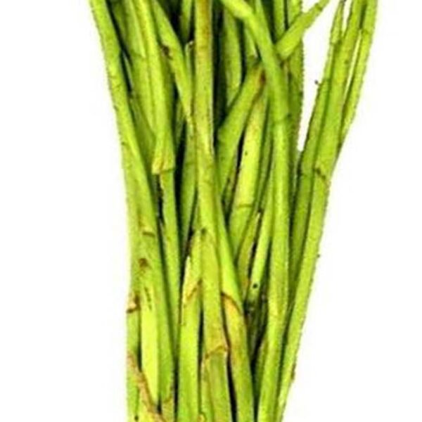 BANGLA VERD LOTI(STOLON OF TARO)