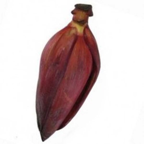 BANGLA VERD THOR(BANANA FLOWER)