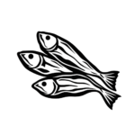 Dry Fish